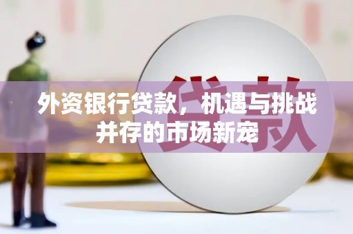 西丰外资银行贷款，机遇与挑战并存的市场新宠
