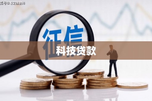 东西湖科技贷款