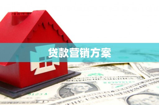金乡贷款营销方案
