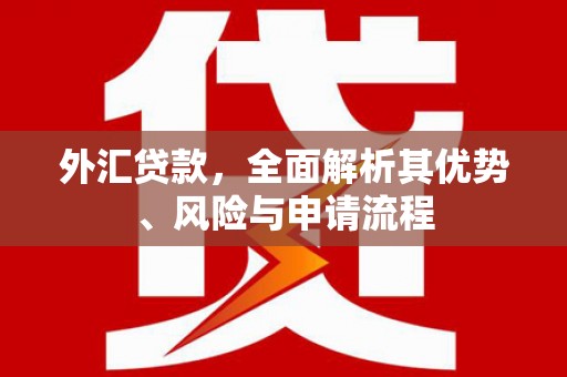 东兴外汇贷款，全面解析其优势、风险与申请流程