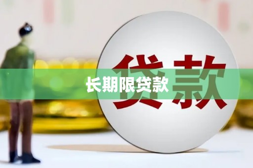 柳营长期限贷款