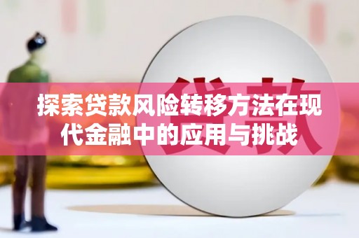 下城探索贷款风险转移方法在现代金融中的应用与挑战