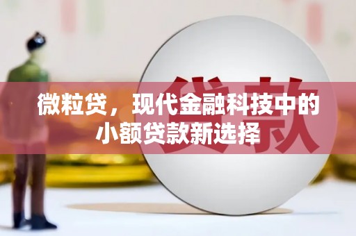 兴山微粒贷，现代金融科技中的小额贷款新选择