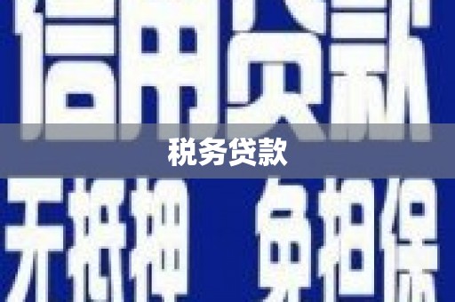 盐田税务贷款