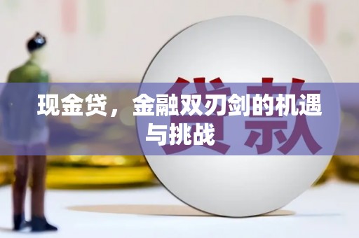 湖里现金贷，金融双刃剑的机遇与挑战