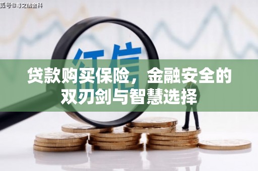 青冈贷款购买保险，金融安全的双刃剑与智慧选择