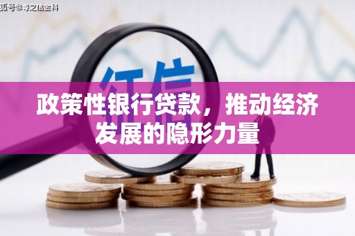 云龙政策性银行贷款，推动经济发展的隐形力量