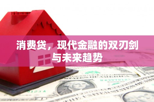 阜康消费贷，现代金融的双刃剑与未来趋势
