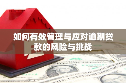 修水如何有效管理与应对逾期贷款的风险与挑战