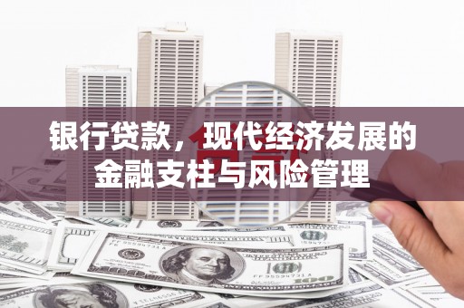 台西银行贷款，现代经济发展的金融支柱与风险管理