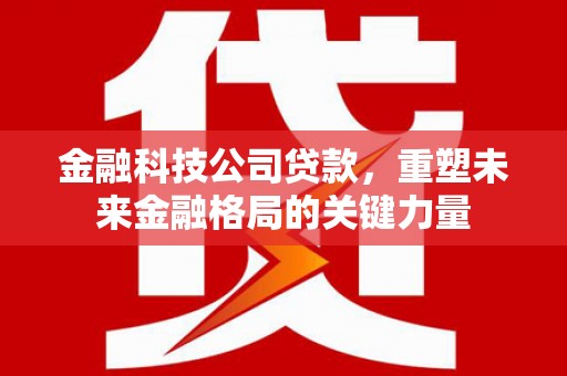 保税港区金融科技公司贷款，重塑未来金融格局的关键力量