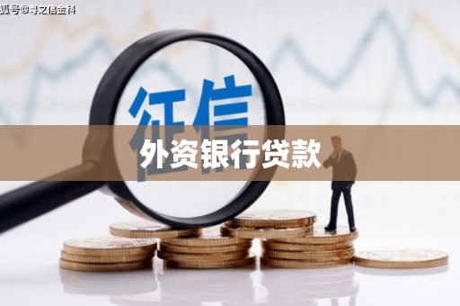 公安外资银行贷款