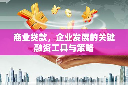 志丹商业贷款，企业发展的关键融资工具与策略