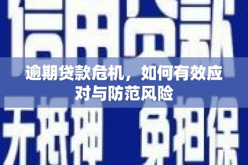 临夏逾期贷款危机，如何有效应对与防范风险