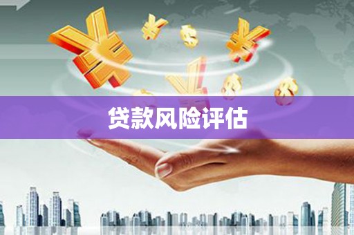 玛沁贷款风险评估