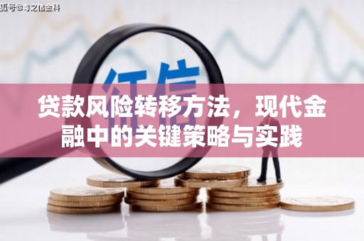 湖南贷款风险转移方法，现代金融中的关键策略与实践