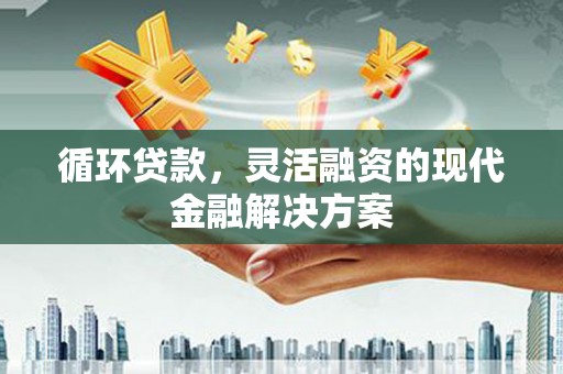 囊谦循环贷款，灵活融资的现代金融解决方案