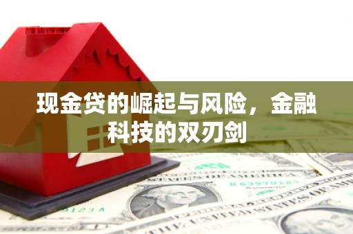 嘉禾现金贷的崛起与风险，金融科技的双刃剑