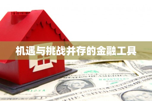 汤阴机遇与挑战并存的金融工具