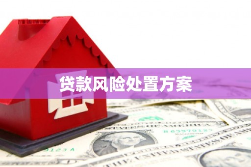 濮阳贷款风险处置方案