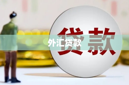 辽源外汇贷款