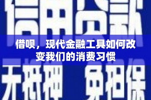 徐闻借呗，现代金融工具如何改变我们的消费习惯