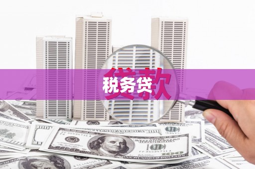 进贤税务贷