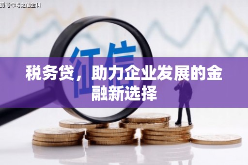 泗礁税务贷，助力企业发展的金融新选择