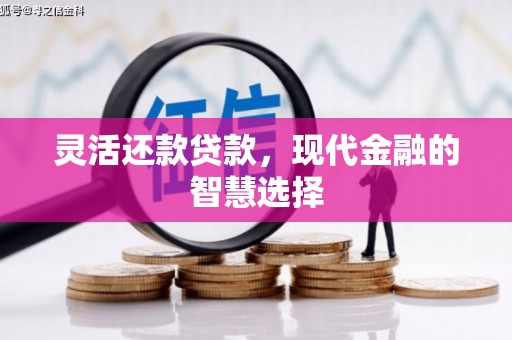 和静灵活还款贷款，现代金融的智慧选择