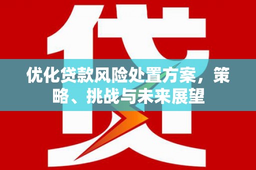 潭子优化贷款风险处置方案，策略、挑战与未来展望