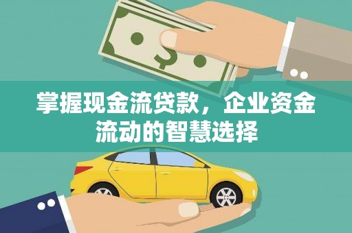 沈河掌握现金流贷款，企业资金流动的智慧选择