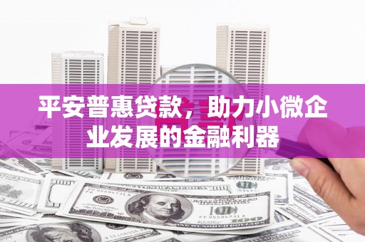 平阴平安普惠贷款，助力小微企业发展的金融利器