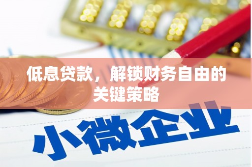 岷县低息贷款，解锁财务自由的关键策略