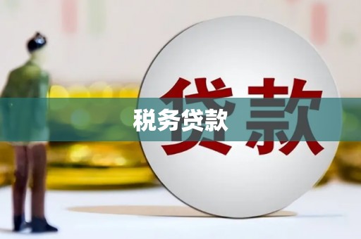 兴和税务贷款