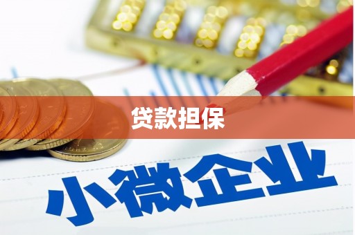 元宝贷款担保