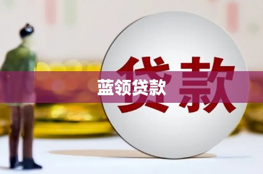 武功蓝领贷款