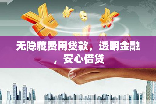 天镇无隐藏费用贷款，透明金融，安心借贷