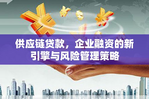 岭东供应链贷款，企业融资的新引擎与风险管理策略