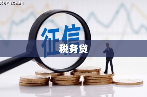 冈山税务贷