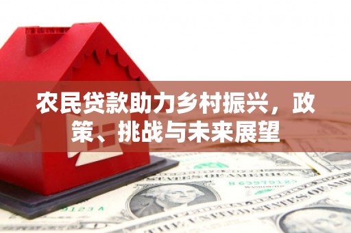 抚州农民贷款助力乡村振兴，政策、挑战与未来展望