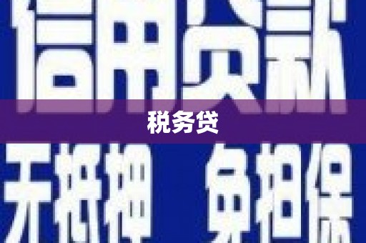 黄骅税务贷