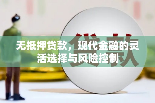盐田无抵押贷款，现代金融的灵活选择与风险控制