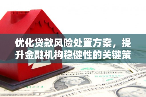 原阳优化贷款风险处置方案，提升金融机构稳健性的关键策略