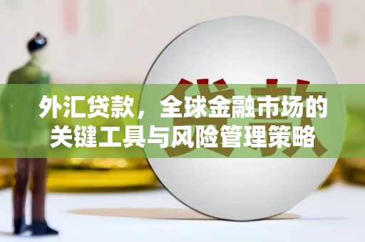 泌阳外汇贷款，全球金融市场的关键工具与风险管理策略