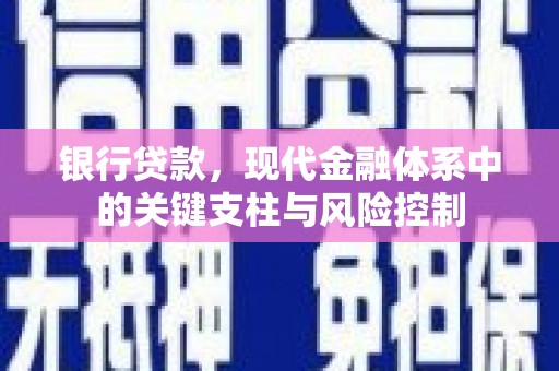 昭苏银行贷款，现代金融体系中的关键支柱与风险控制