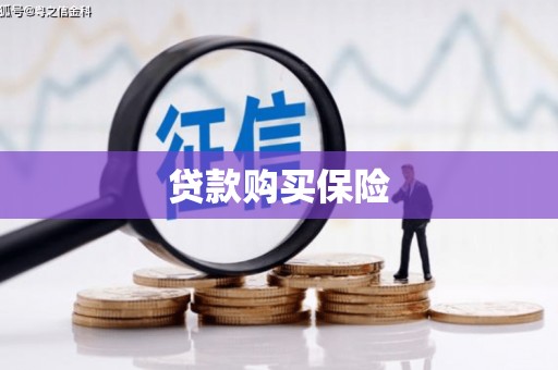 丘北贷款购买保险