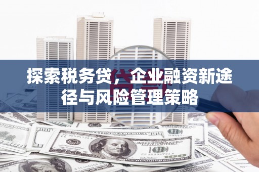 鹿草探索税务贷，企业融资新途径与风险管理策略