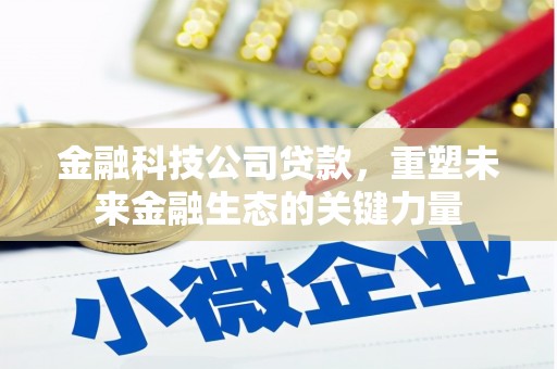 土默特左旗金融科技公司贷款，重塑未来金融生态的关键力量