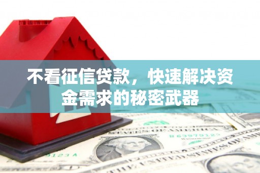 市中区不看征信贷款，快速解决资金需求的秘密武器