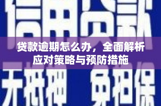 精河贷款逾期怎么办，全面解析应对策略与预防措施